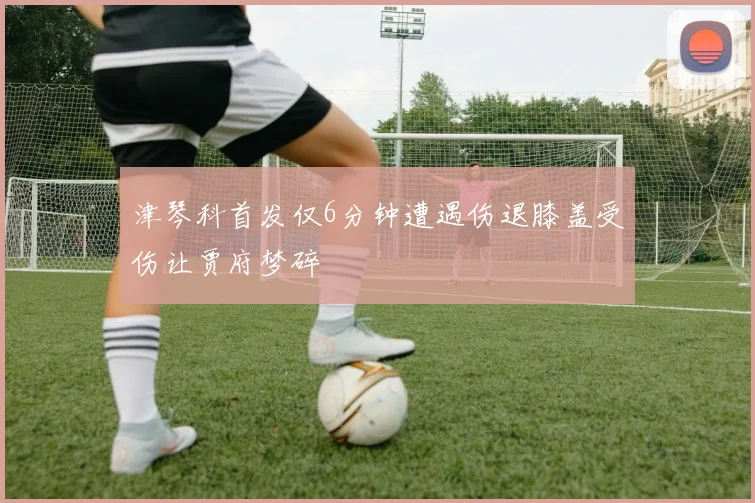 津琴科首发仅6分钟遭遇伤退膝盖受伤让贾府梦碎